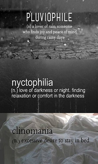 Download free Nyctophilia Aesthetic Words Wallpaper - MrWallpaper.com