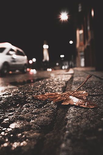 HD urban street at autumn wallpapers | Peakpx