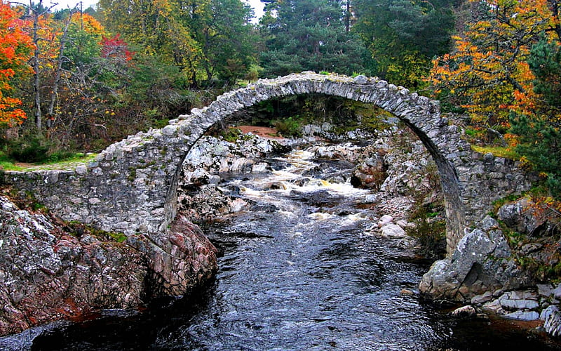 Olde Stone Bridge at Carrbridge, Scotland, Stone, Scotland, Bridge, Architecture, HD wallpaper