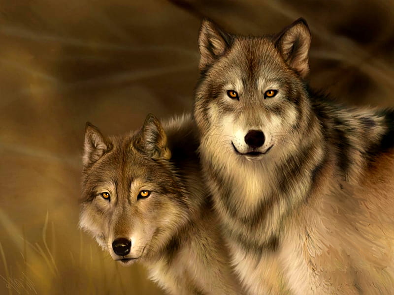 THE WOLVES, art, wolves, wild, pair, HD wallpaper