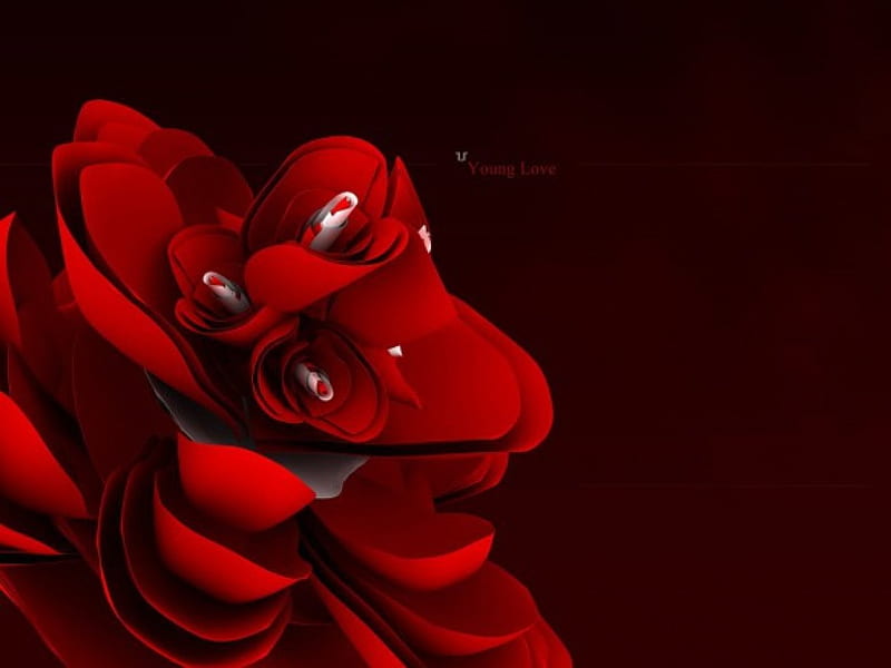 Young Love, red, 3d, rose, love, flower, HD wallpaper | Peakpx