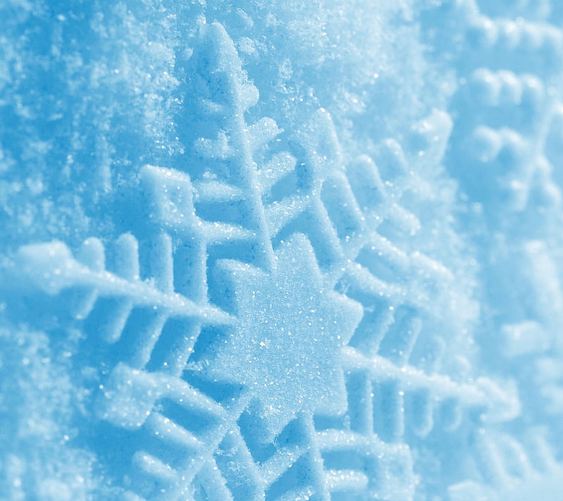 The Snow, cold, crystal, flake, frozen, ice, snowflake, winter, HD wallpaper
