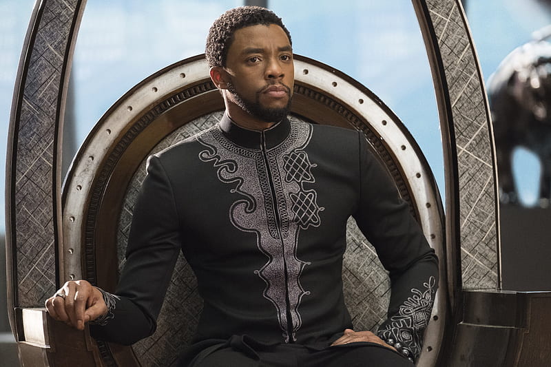 Chadwick Boseman Black Panther 2018, chadwick-boseman, black-panther, 2018-movies, movies, HD wallpaper