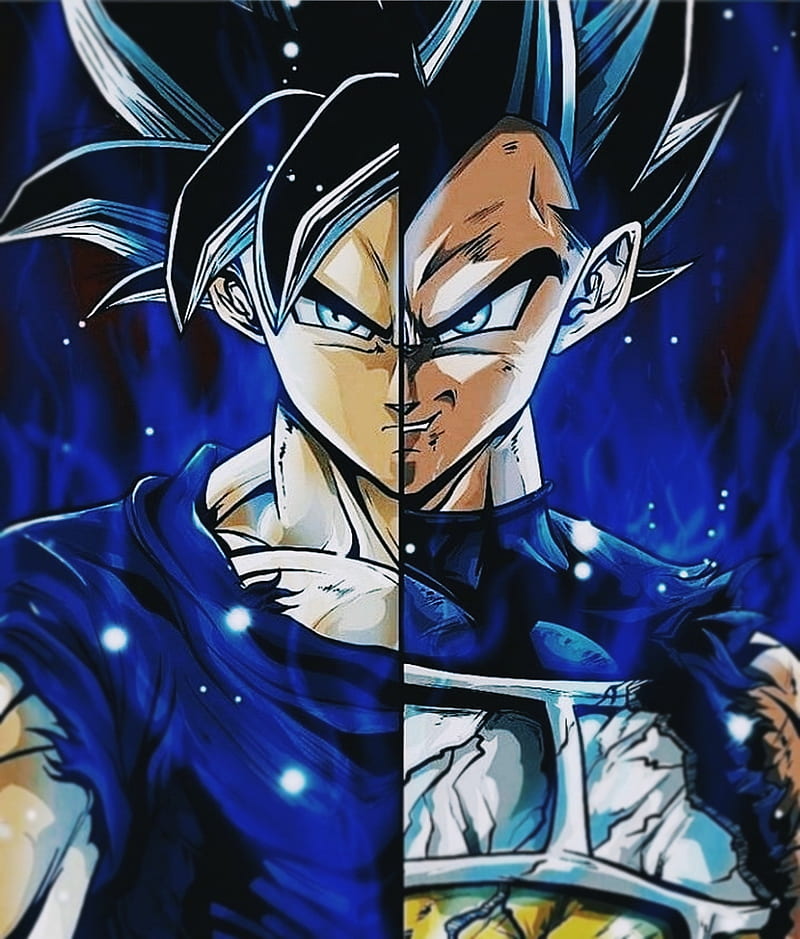50 Goku vs Vegeta Wallpaper  WallpaperSafari