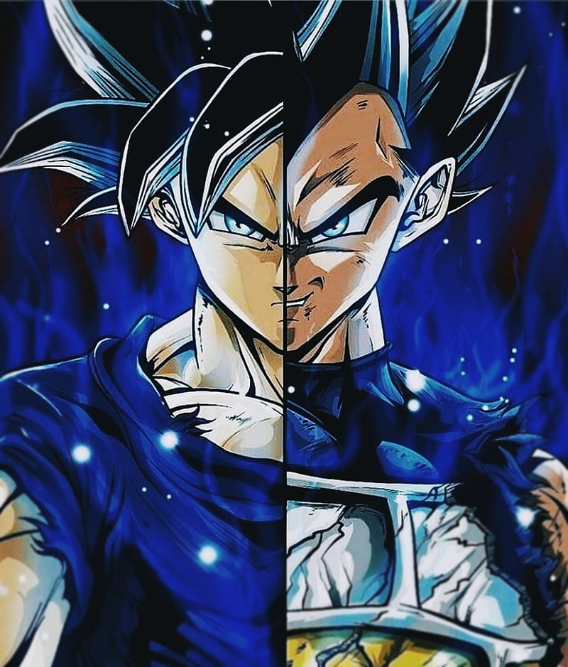 Goku e Vegeta Super Saiyajins Azuis estarão em Dragon Ball