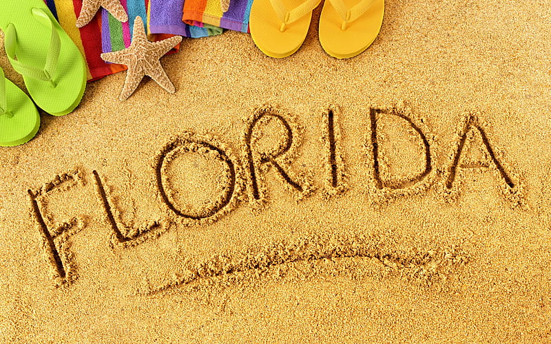 sand, summer travel, USA, Florida, beach slippers, beach accessories, summer, HD wallpaper