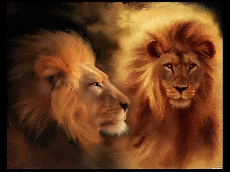 The Lion, male, 3d, front, side, lion, HD wallpaper | Peakpx