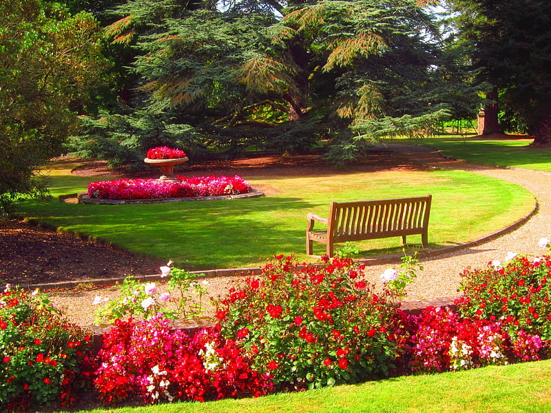 BEALE ARBORETUN, Beale Arboretum, Barne, Gardens of England, t Bench, Nature, HD wallpaper