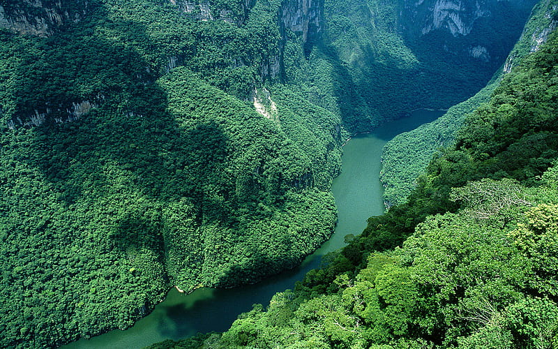 Cañón del Sumidero, canon del sumidero, forest, rain forest, mountains, HD wallpaper