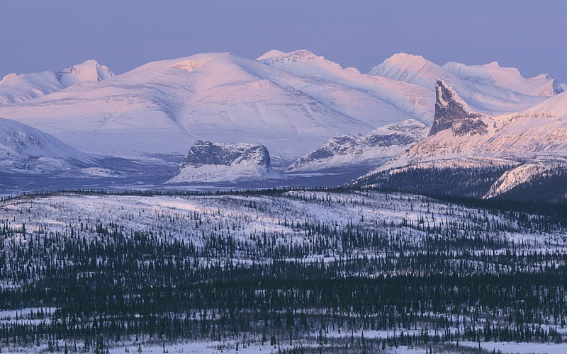 *** Sarek National Park Lapland-SWEDEN ***, snow, mountains, nature, trees, magik, winter, HD wallpaper