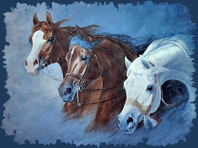 Triple Threat Arabians - Horses F1, edwards, art, gladys brown edwards, equine, abu farwa, gladys edwards, artwork, bask, naborr, painting, arabian, HD wallpaper