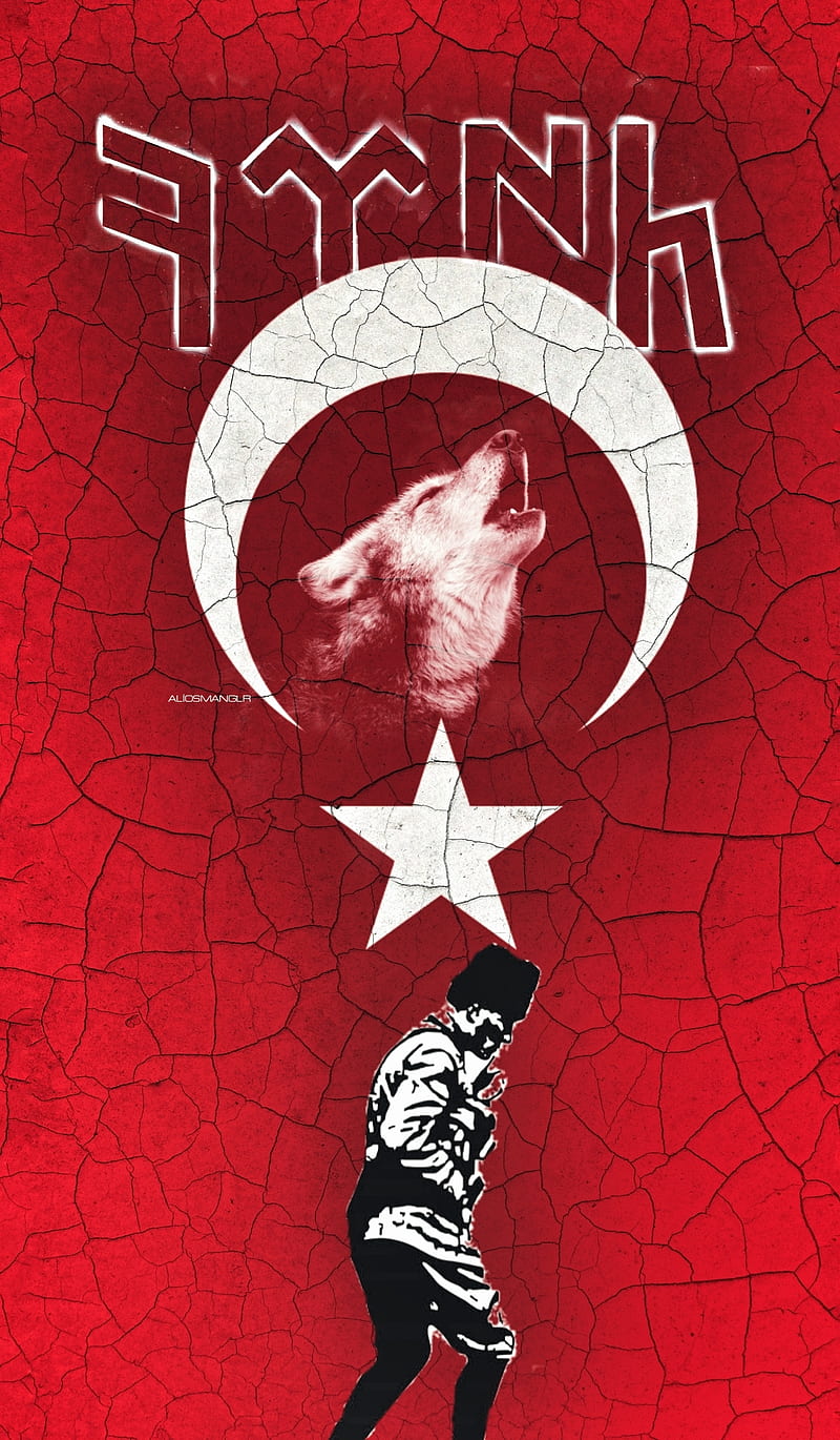 Mustafa Kemal, asker, ataturk, flag, gazi, turk, turkey, turkish, vatan, HD phone wallpaper