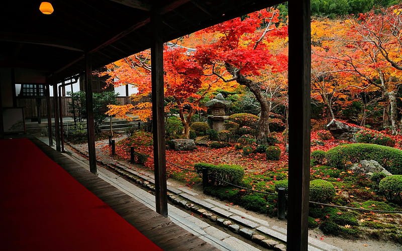 Courtyard and autumn leaves-Enkoji Temple Autumn, HD wallpaper