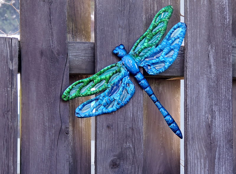 Beautiful Dragonfly, Metal, Green, Abstract, Dragonfly, graphy, Blue, Fence, HD wallpaper