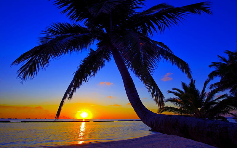 SUMMER DUSK, beach, Maldives, dusk, palm, tropical, HD wallpaper