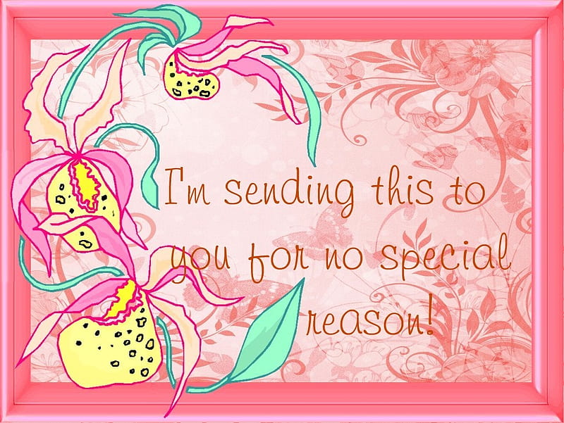 Im sending this to you for no special reason, coral, peach, white, orange, text, HD wallpaper