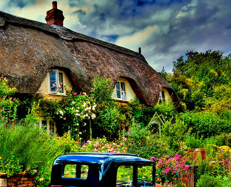 Thatched Garden, house, overgrown, flowers, english garden, thatched roof, trees, clouds, bushes, HD wallpaper