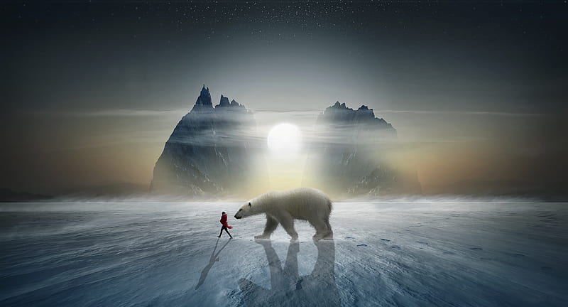 Bears, Polar Bear, Arctic, Ice, Man, Snow, HD wallpaper