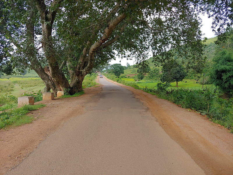 Araku valley - Treks and Travels