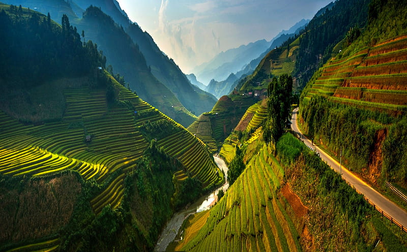 Rice Terraces, Vietnam, bonito, trees, clouds, agriculture, green, mountains, river, road, field, HD wallpaper