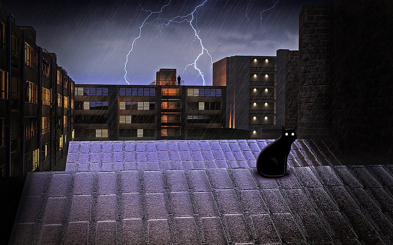 Black Cat On Rooftop Lightning , cat, animals, artist, artwork, digital-art, HD wallpaper