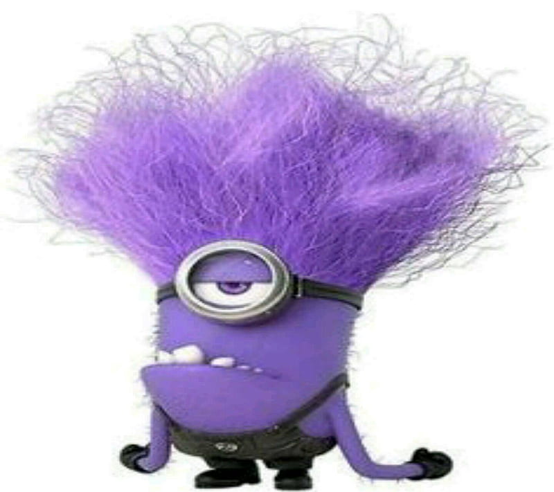 Purple Minion, angery, HD wallpaper