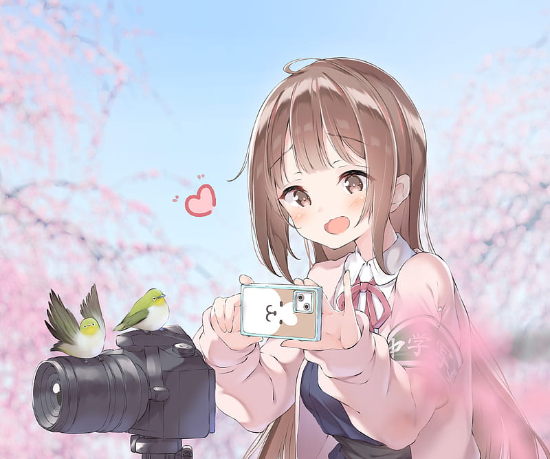 Anime, Girl, Camera, HD wallpaper