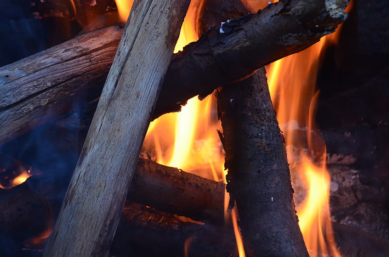 burning, fire, nature, wood, HD wallpaper