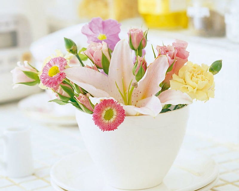 Beautiful Flowers, cup, flowers, petals, bloom, HD wallpaper | Peakpx