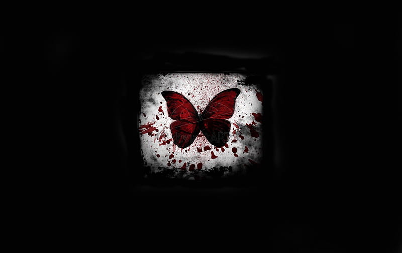 Mariposa sangrienta ws, mariposa, marcos, negro, sangre, Fondo de pantalla  HD | Peakpx
