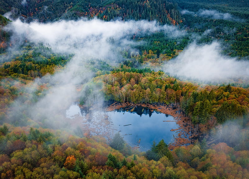 Lost Lake near Westport, Oregon, water, autumn, trees, fog, landscape, HD wallpaper