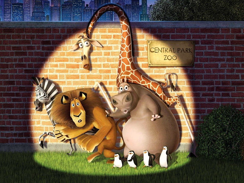 Madagascar, movie, penguin, zeebra, lion, africa, hippo, jungle, giraffe,  HD wallpaper | Peakpx