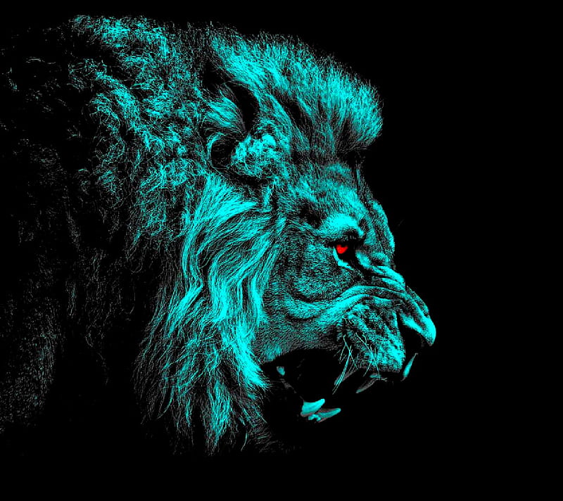 lion, HD wallpaper