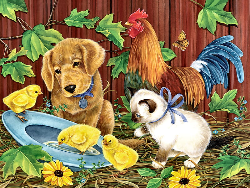 Fun on the Farm F, rooster, art, bonito, cat, artwork, canine, animal, pet, feline, painting, wide screen, flowers, chicks, dog, HD wallpaper