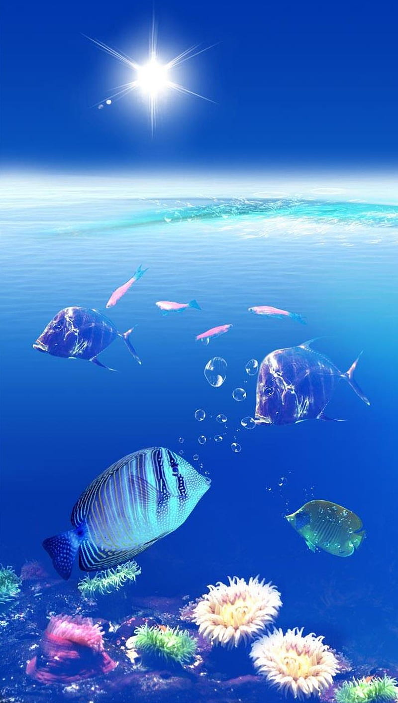 Underwater , life, sun, HD phone wallpaper