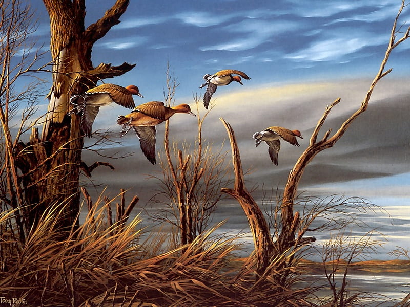 Aging Shoreline, by Terry Redlin, art, bird, painting, sky, terry redlin, HD wallpaper