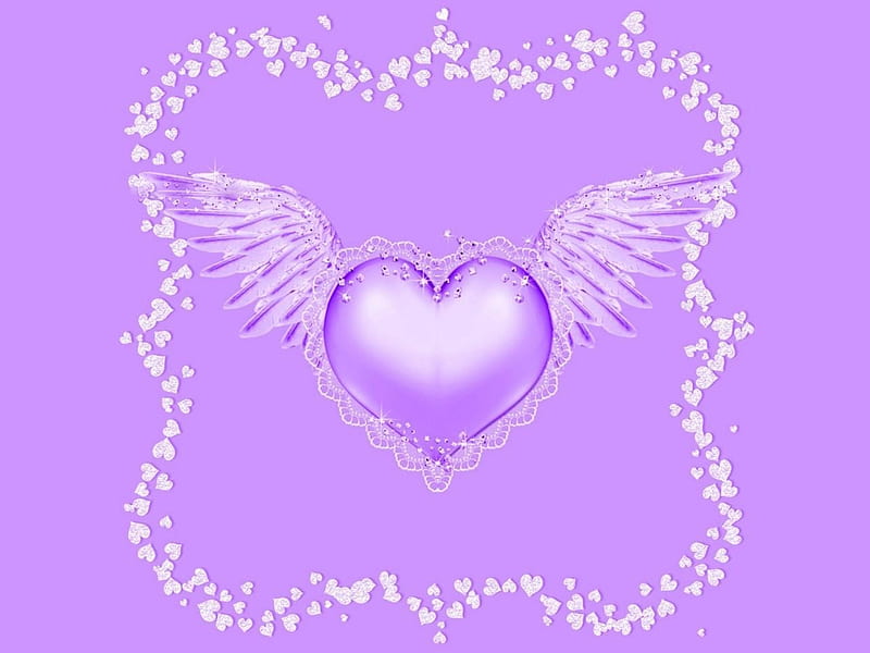 PURPLE ELEGANCE, elegance, wings, purple, lace, corazones, HD wallpaper ...