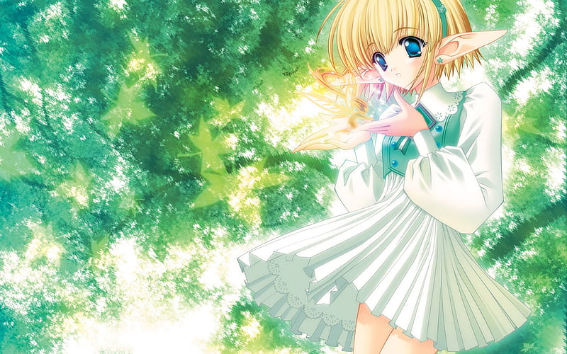 Make a wish, forest, girl, anime, elf, blonde, fairy, HD wallpaper