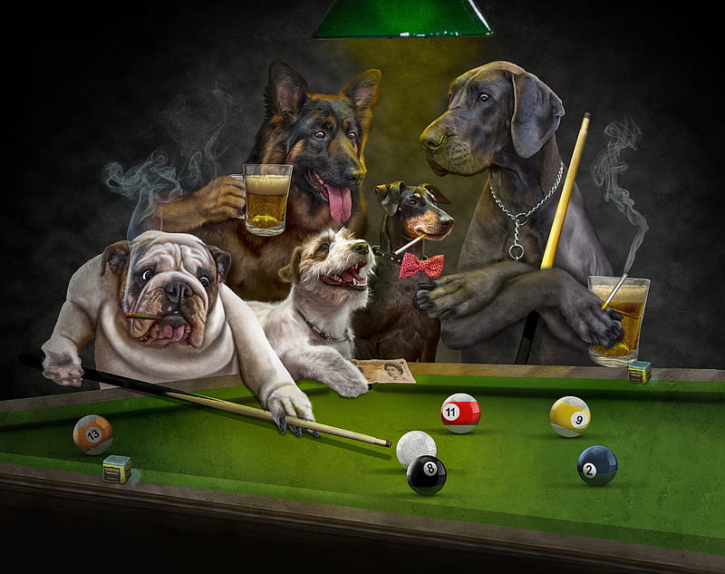 Playing billiard, fantasy, green, caine, funny, creative, dog, real men, HD wallpaper