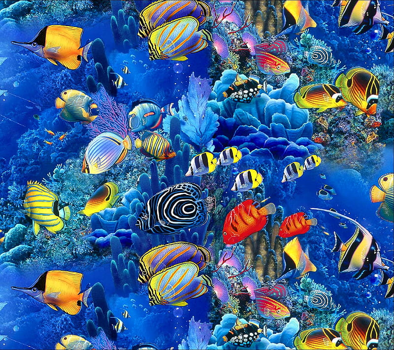 Aquarium, fish, HD wallpaper