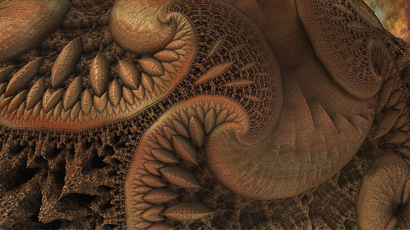 Abstract, 3D, Brown, Fractal, Plant, Surreal, Trippy, HD wallpaper
