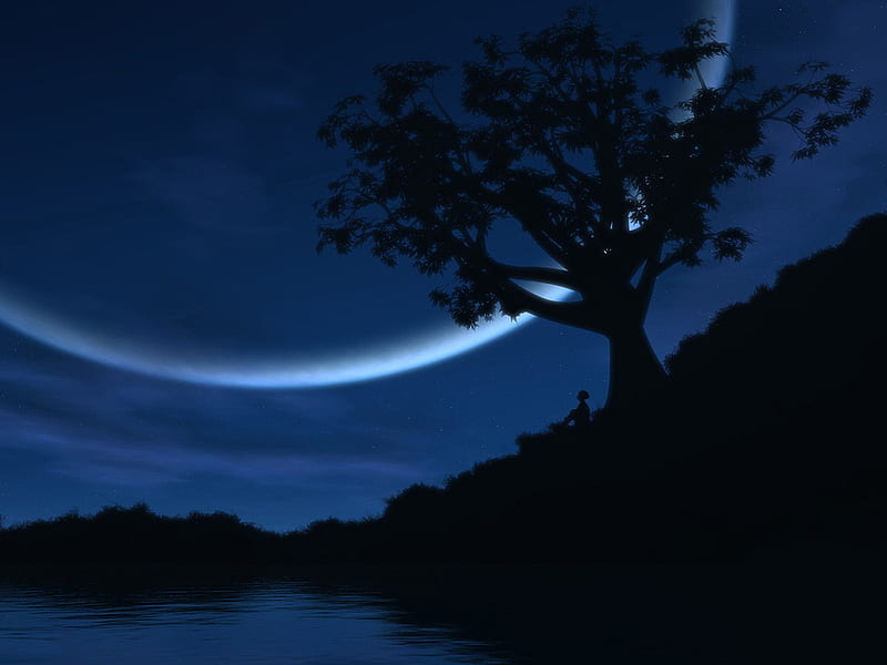 Moon ring, tree, moon, nature, sky, blue, night, HD wallpaper