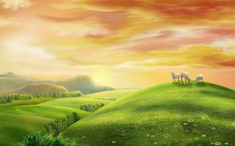 Sheeps on the hill, sheep, green, spring, sunrise, hill, meadow, HD wallpaper