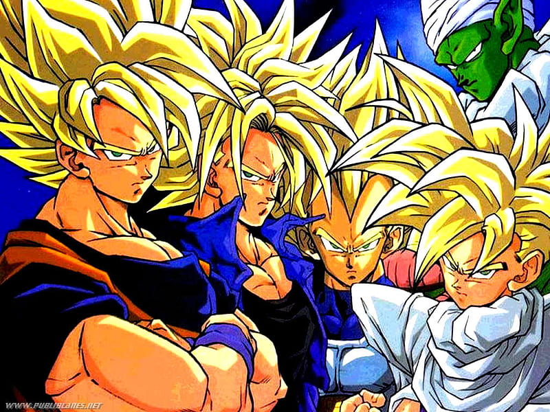 Legendary warriors, goku gohon, vegeta trunks, super saiyans, and piccolo, HD wallpaper