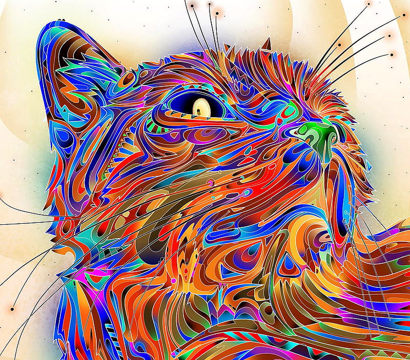 Color Cat, HD wallpaper | Peakpx