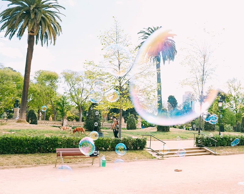 park, soap bubbles, people, bench, Nature, HD wallpaper