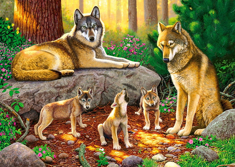 Wolf family, family, forest, grass, woods, bonito, bushes, wild, summer, wolf, wolves, HD wallpaper