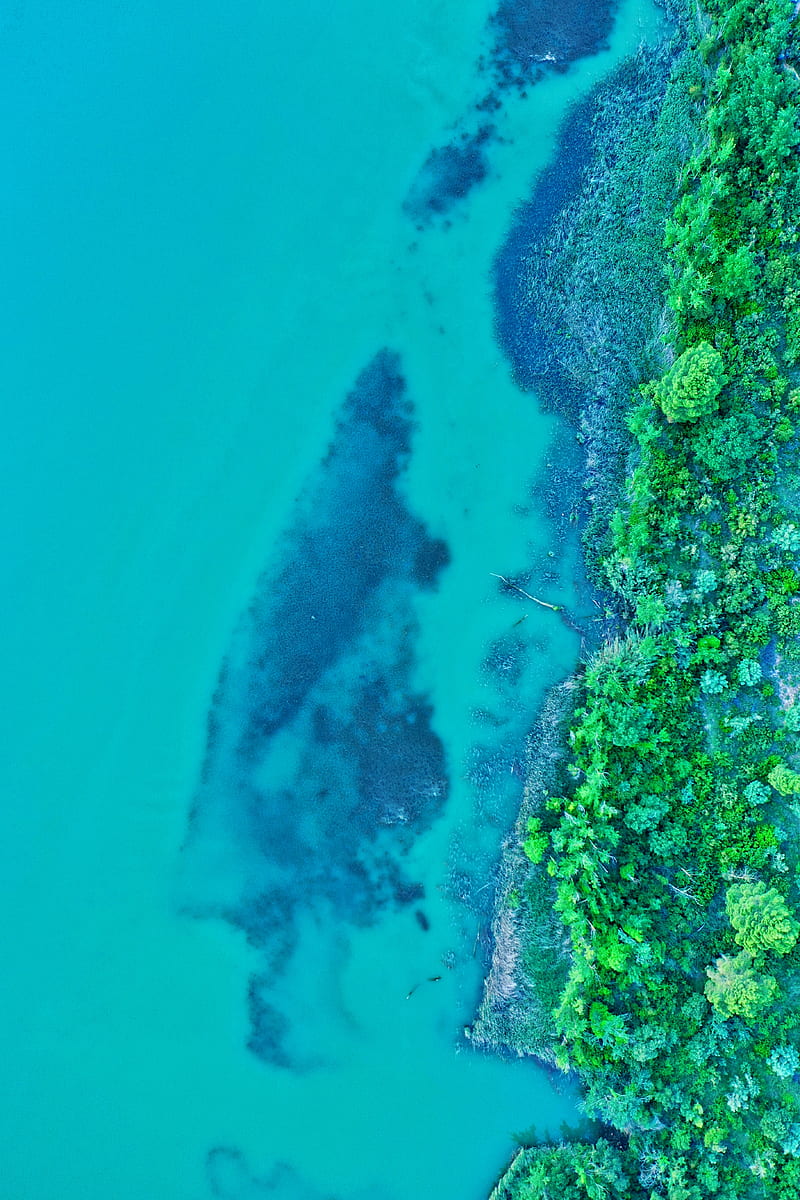 island, water, plants, aerial view, HD phone wallpaper
