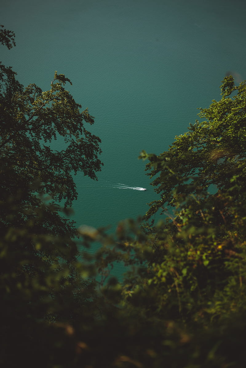 boat, branches, water, trees, trace, HD phone wallpaper