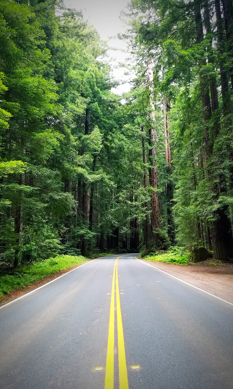 Open Road, california, nature, pure, HD phone wallpaper